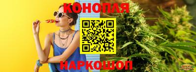 дмт Новокубанск