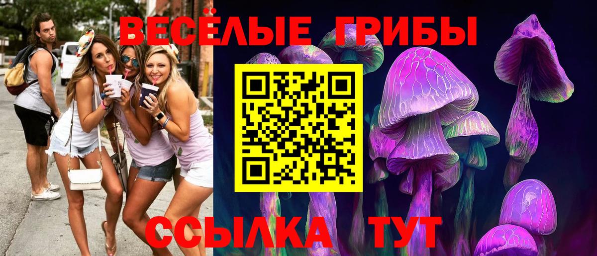 Псилоцибиновые грибы Cubensis Реутов