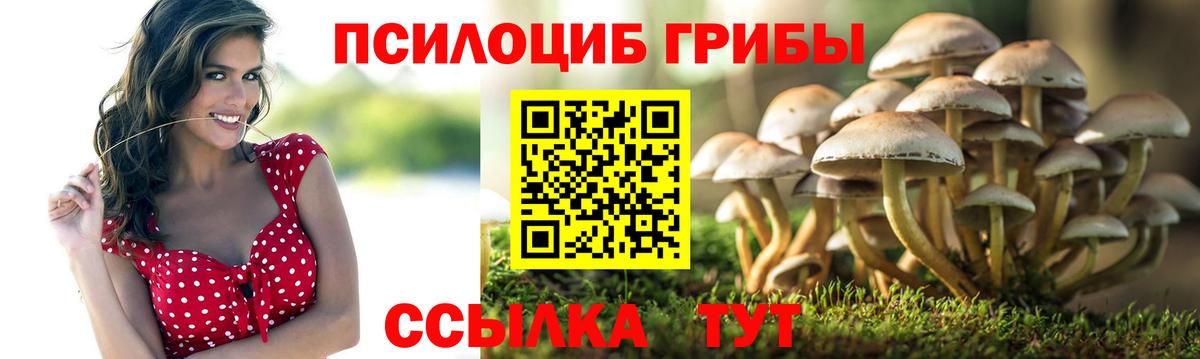 Реутов  Галлюциногенные грибы MAGIC MUSHROOMS  Галлюциногенные грибы ЛСД  Вход с VPN 
