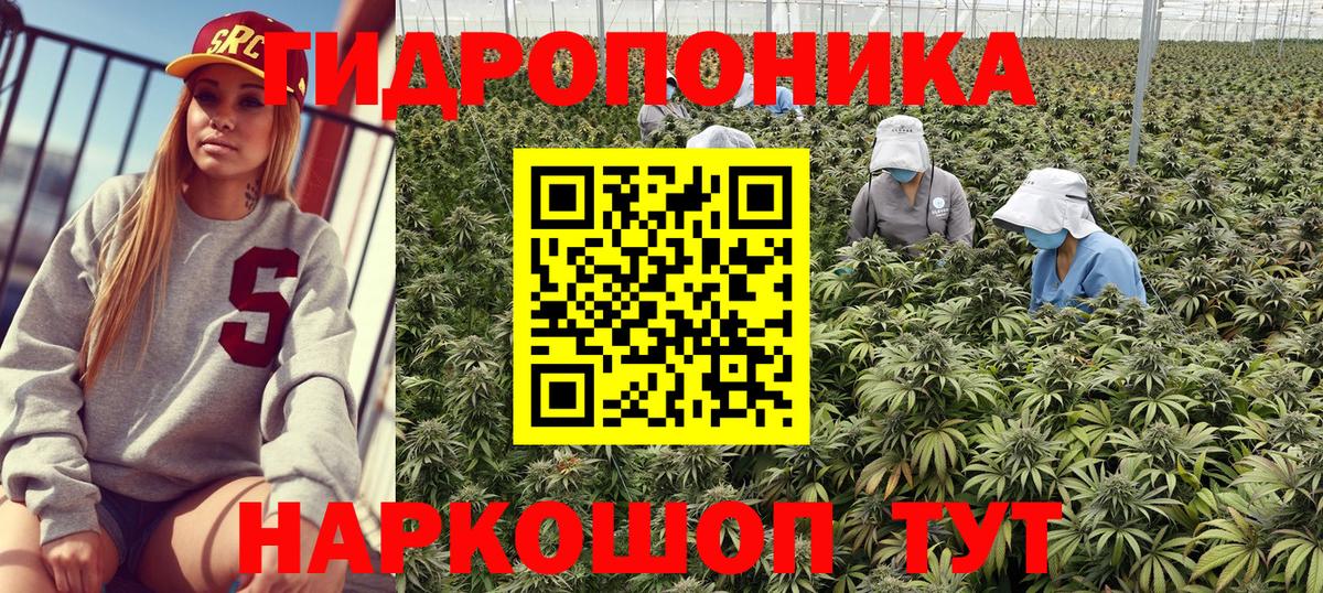 Марихуана марихуана Реутов